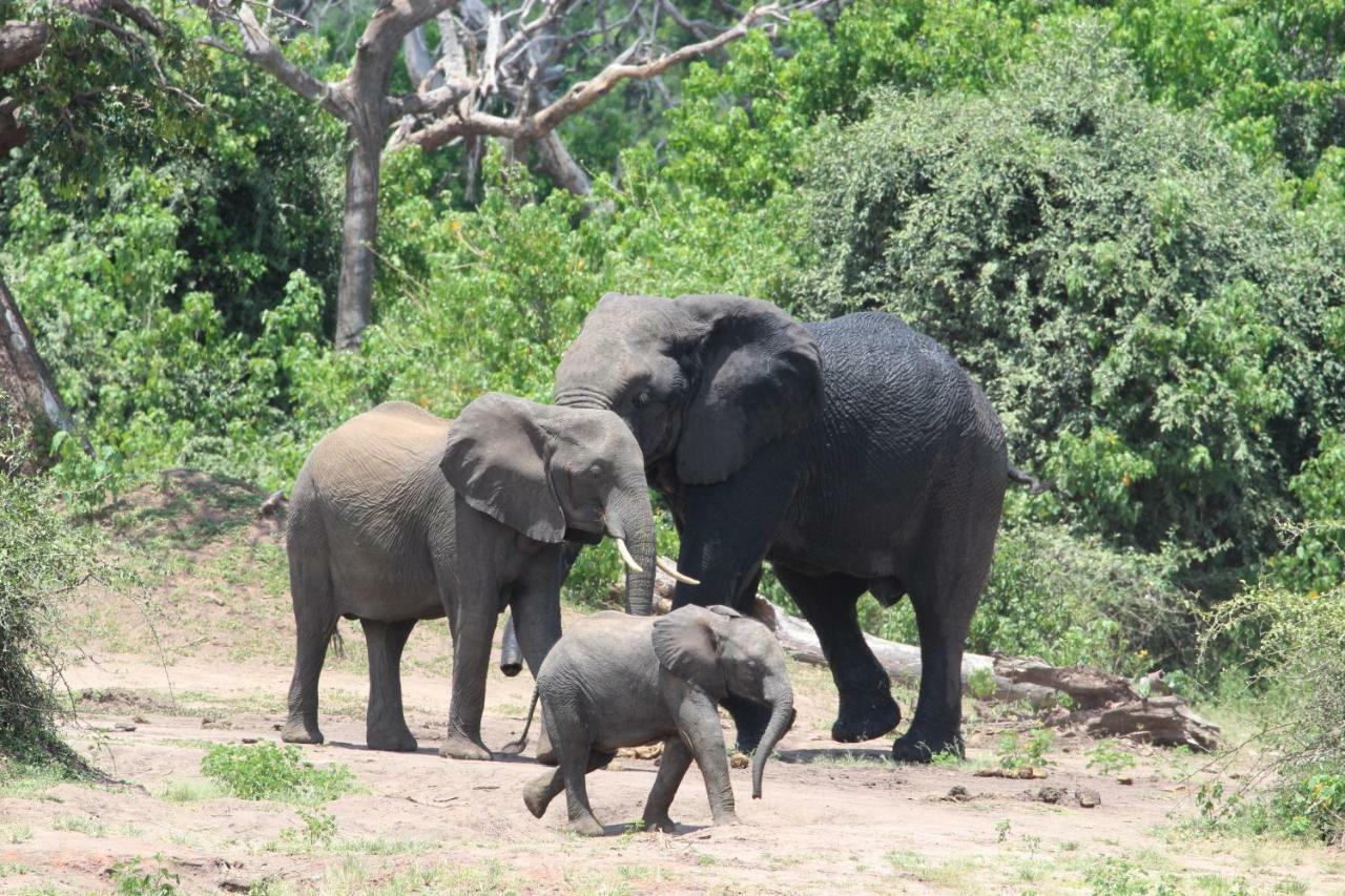 Tlou Safari Lodge Kasane Eksteriør bilde